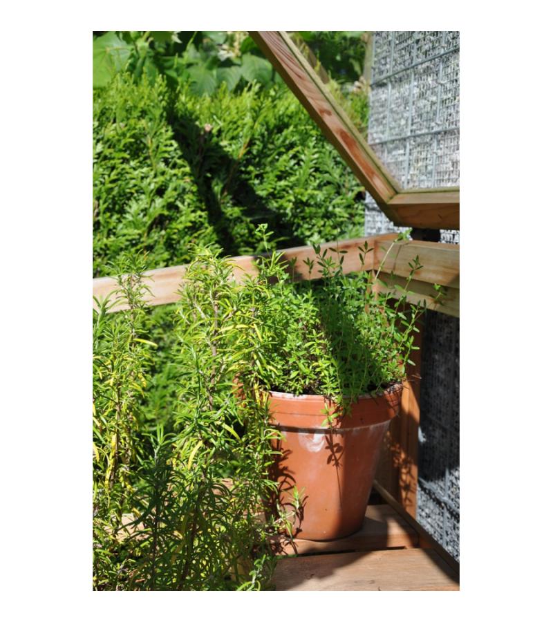Cedar Wall Garden muurkas